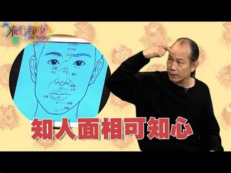 鼻運 年齡|【幾多歲行鼻運】蘇民峯破解面相大秘密！幾歲行鼻運？晚年面相。